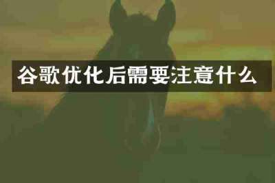 谷歌优化后需要注意什么