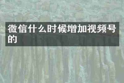 微信什么时候增加视频号的