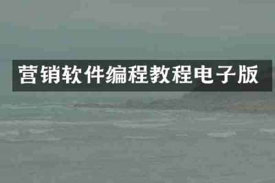 营销软件编程教程电子版