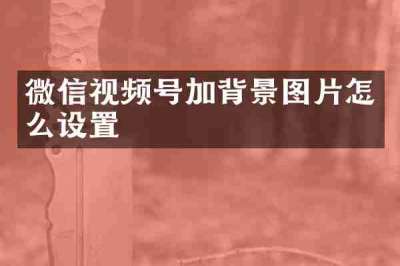 微信视频号加背景图片怎么设置