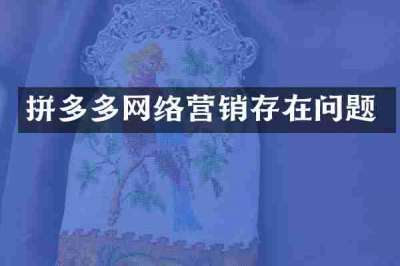 拼多多网络营销存在问题