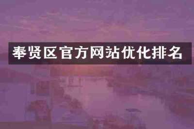 奉贤区官方网站优化排名