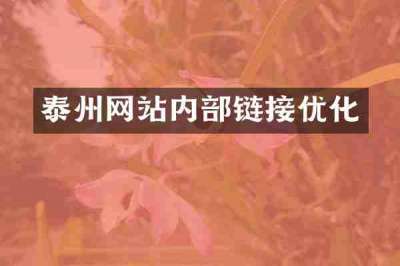 泰州网站内部链接优化