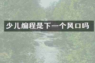 少儿编程是下一个风口吗