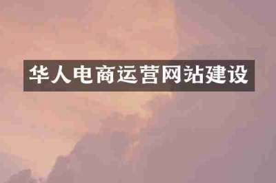 华人电商运营网站建设