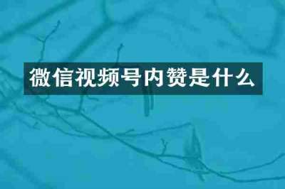 微信视频号内赞是什么