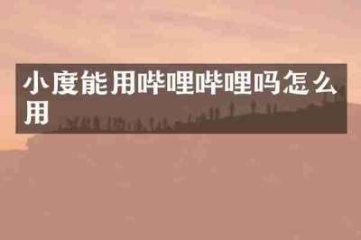 小度能用哔哩哔哩吗怎么用