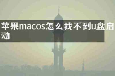 苹果macos怎么找不到u盘启动