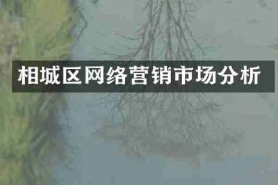 相城区网络营销市场分析