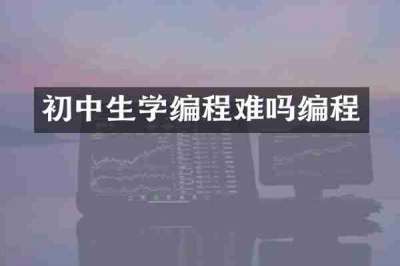 初中生学编程难吗编程