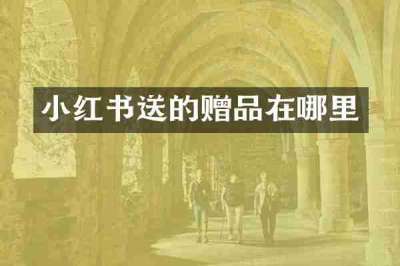 小红书送的赠品在哪里