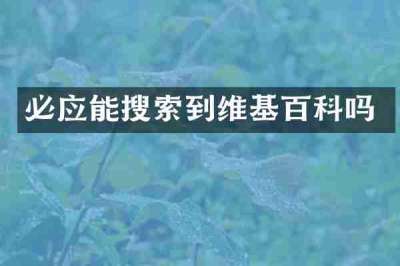 必应能搜索到维基百科吗