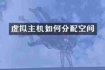 虚拟主机如何分配空间