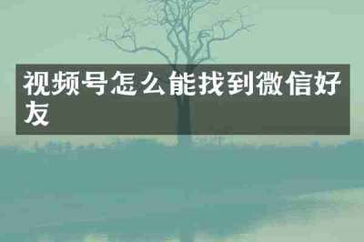 视频号怎么能找到微信好友
