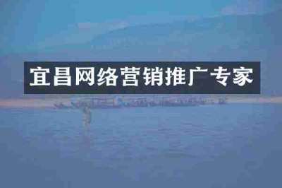 宜昌网络营销推广专家