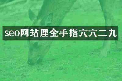 seo网站厘金手指六六二九