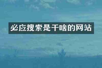 必应搜索是干啥的网站