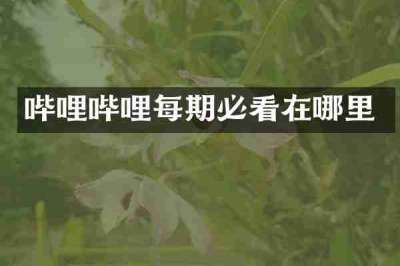 哔哩哔哩每期必看在哪里