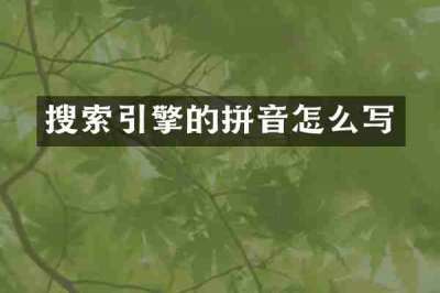 搜索引擎的拼音怎么写