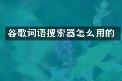 谷歌词语搜索器怎么用的