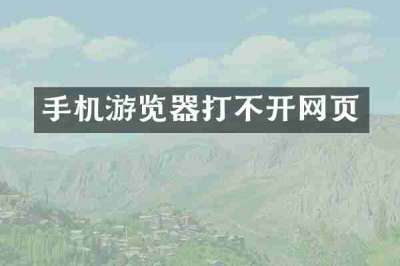 手机游览器打不开网页