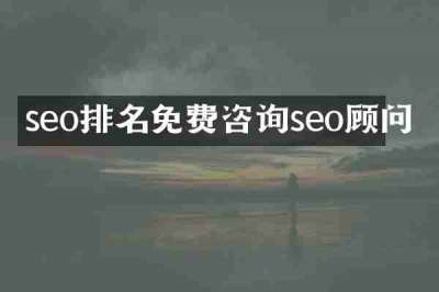 seo排名免费咨询seo顾问