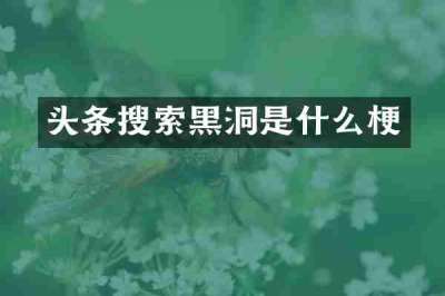 头条搜索黑洞是什么梗