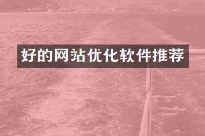 好的网站优化软件推荐