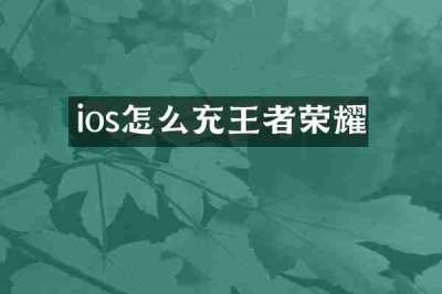 ios怎么充王者荣耀