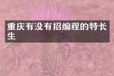 重庆有没有招编程的特长生