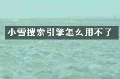 小雪搜索引擎怎么用不了