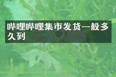 哔哩哔哩集市发货一般多久到