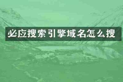 必应搜索引擎域名怎么搜