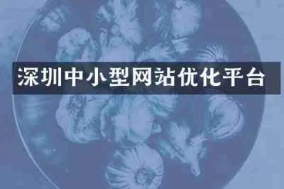 深圳中小型网站优化平台