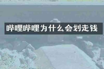 哔哩哔哩为什么会划走钱