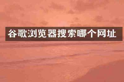 谷歌浏览器搜索哪个网址