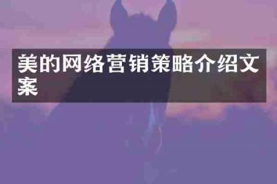 美的网络营销策略介绍文案
