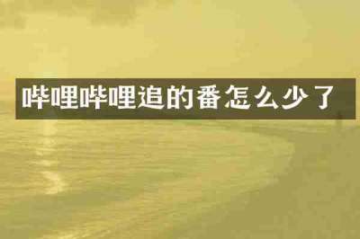 哔哩哔哩追的番怎么少了
