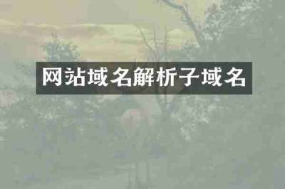 网站域名解析子域名
