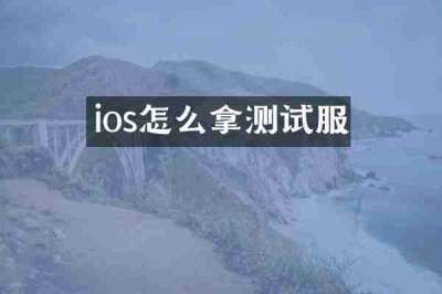 ios怎么拿测试服