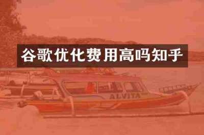 谷歌优化费用高吗知乎