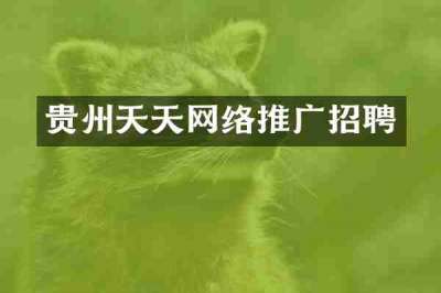 贵州天天网络推广招聘