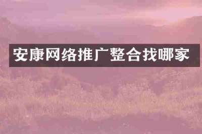 安康网络推广整合找哪家