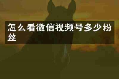 怎么看微信视频号多少粉丝