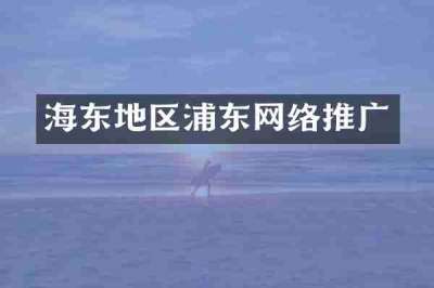 海东地区浦东网络推广