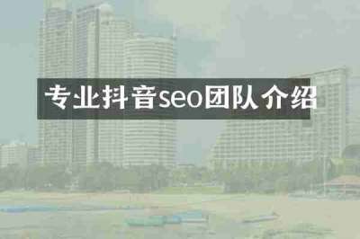 专业抖音seo团队介绍