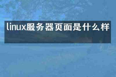 linux服务器页面是什么样的