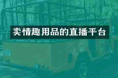 卖情趣用品的直播平台