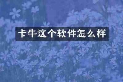卡牛这个软件怎么样