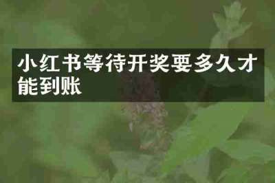 小红书等待开奖要多久才能到账